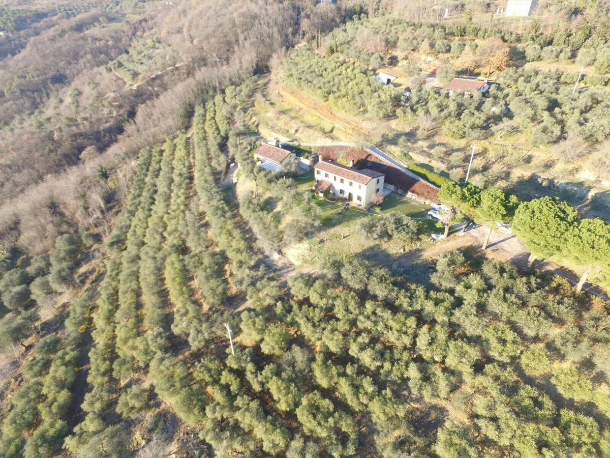 Holiday House Petrarca Arquà Petrarca Exterior foto
